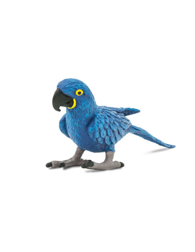 Hyacinth Macaw