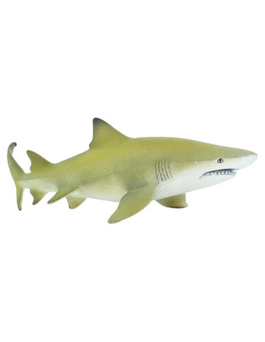 Lemon Shark