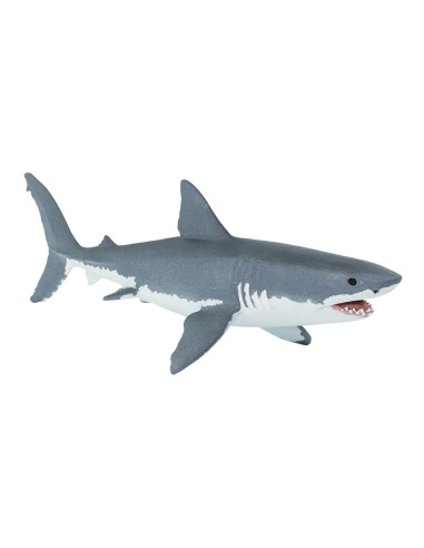 Great White Shark