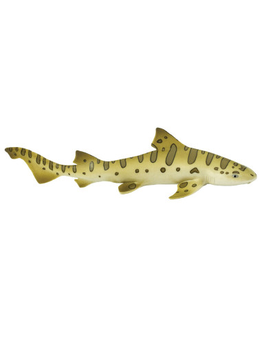 Leopard Shark