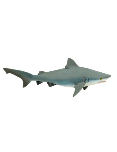 Bull Shark