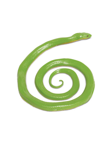 Rough  Green Snake