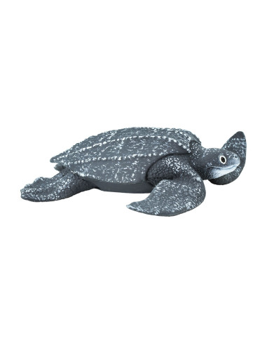 Leatherback Sea Turtle