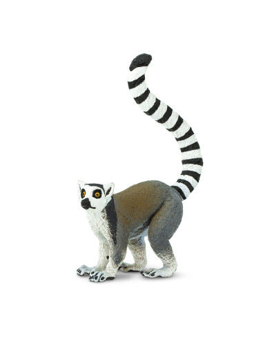 Ring-Tailed Lemur