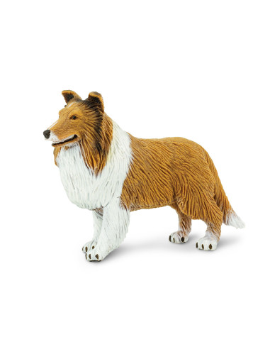 Figure - Collie