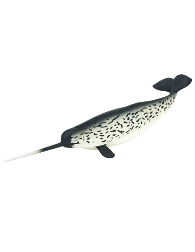 Narwhal