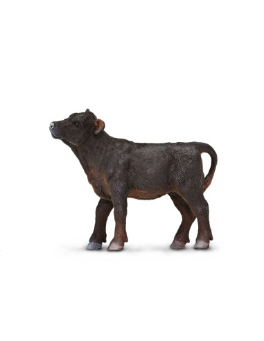 Angus Calf