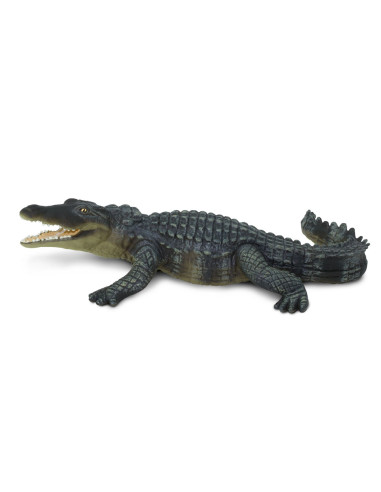 Crocodile