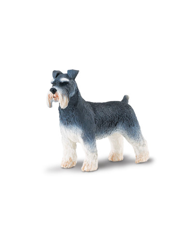 Schnauzer