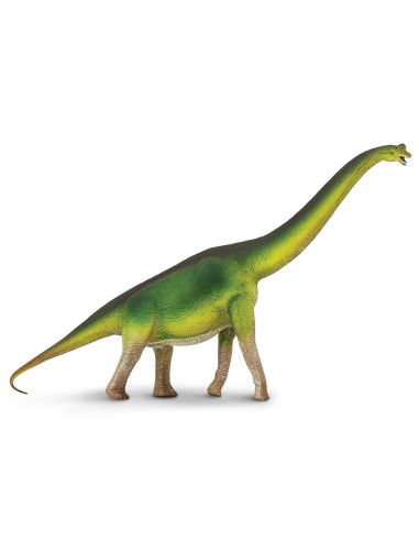 Brachiosaurus