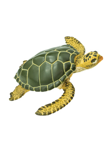 Green Sea Turtle