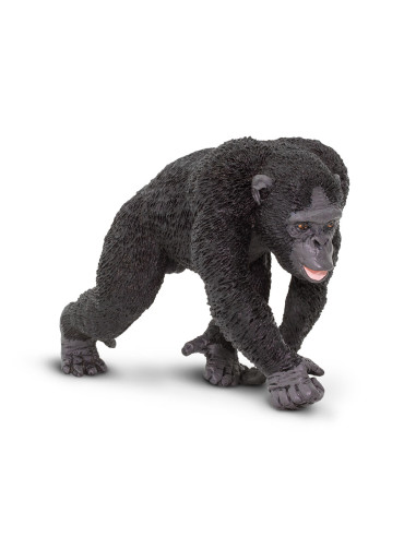 Figure - Chimpanzee