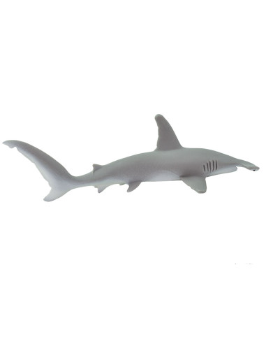 Hammerhead Shark