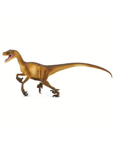 Velociraptor