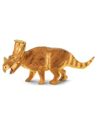 Vagaceratops