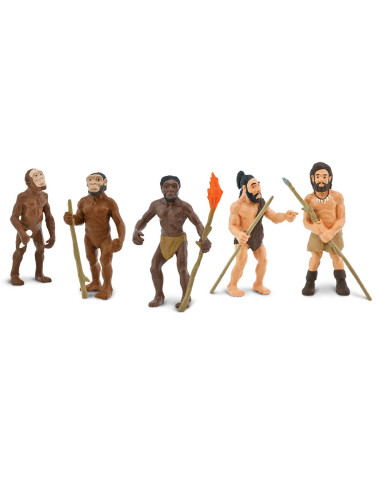 Evolution Of Man