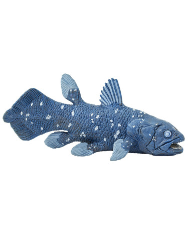 Coelacanth