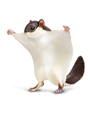 Figure - Flying Squirrel