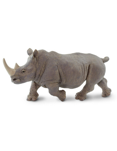 White Rhino