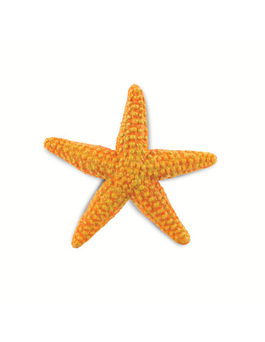 Starfish