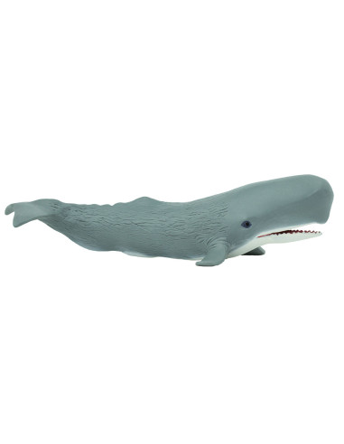 Sperm Whale