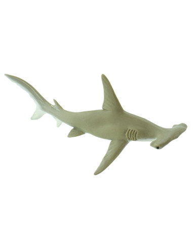 Hammerhead Shark