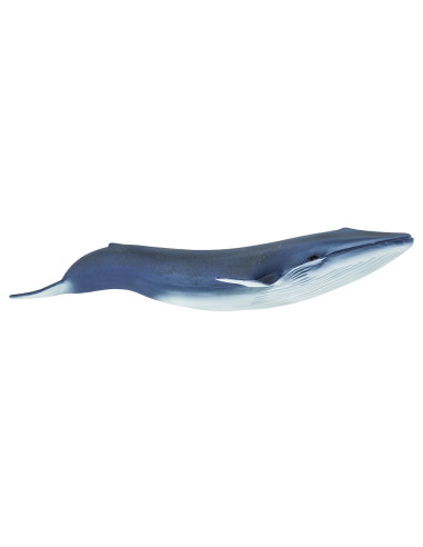 Figure - Blue Whale