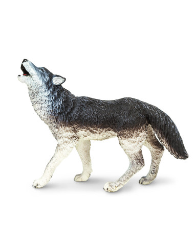 Gray Wolf