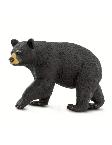 Figure - Black Bear