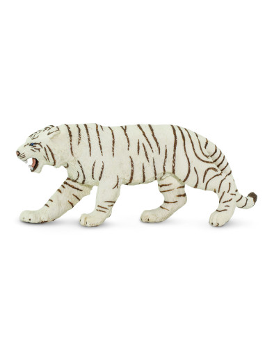 White Bengal Tiger