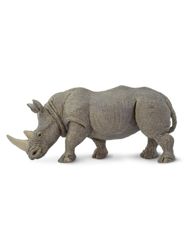 White Rhino