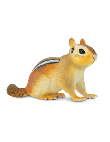 Eastern Chipmunk