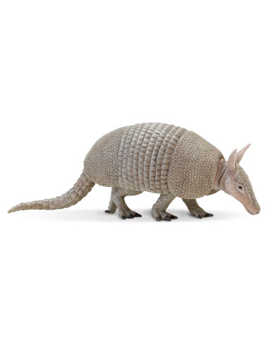 Armadillo