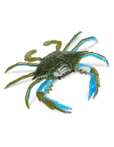 Blue Crab