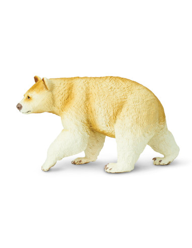 Kermode Bear