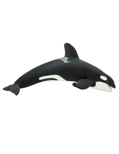 Killer Whale