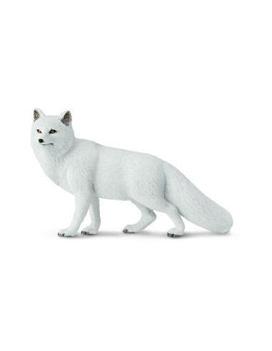 Arctic Fox