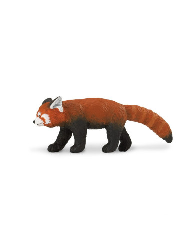 Red Panda