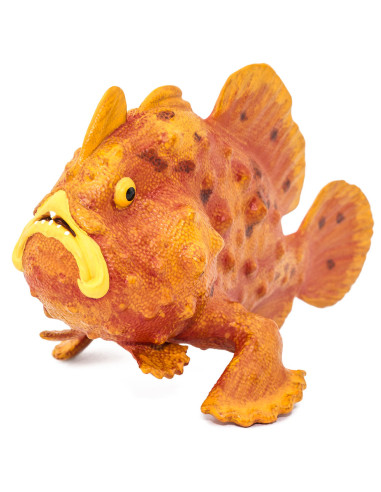 Frogfish