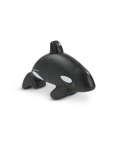 Orca