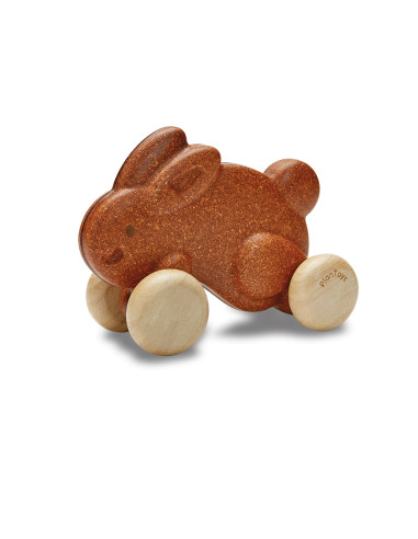 Push Along Bunny (Brown)