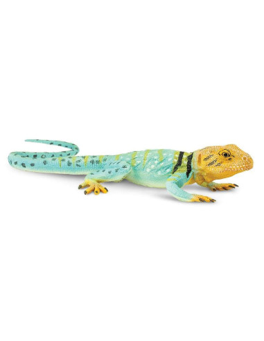 Figure - Collared Lizard