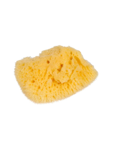 Nienhuis - Natural Sponge, Small