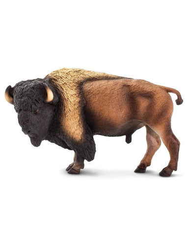 Bison