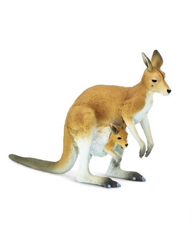 Kangaroo With A Baby