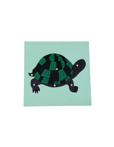 Turtle Puzzle