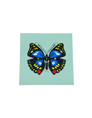 Butterfly Puzzle