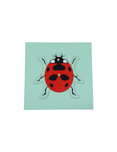 Ladybug Puzzle