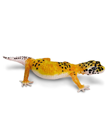 Figure - Leopard Gecko