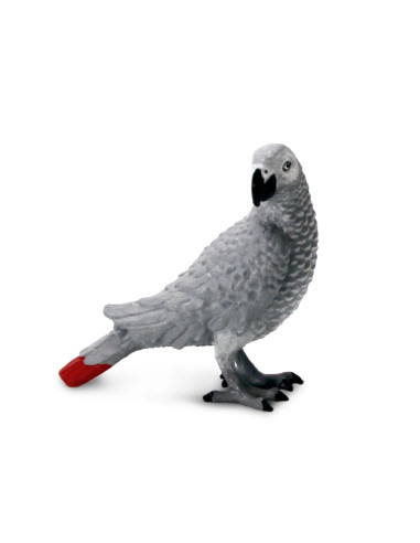 Figure - African Gray Parrot